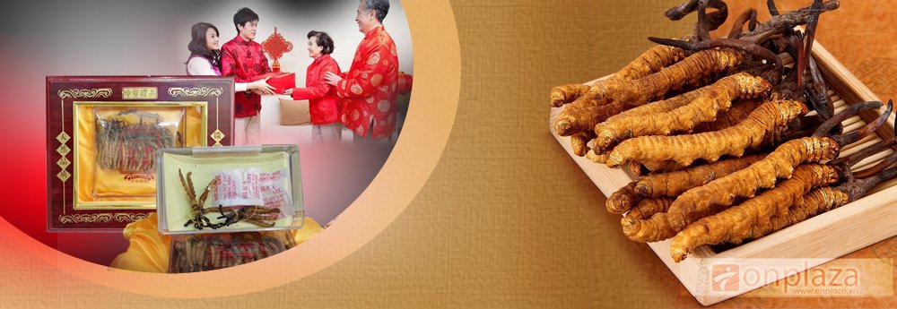 Banner quảng c&aacute;o đ&ocirc;ng tr&ugrave;ng hạ thảo